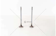 Inlet Valve F2CE9687 - CURSOR 9 IN Mec-Diesel