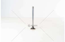 Inlet Valve F3BE0681/3681 - CURSOR 13 - STRALISIN Iveco