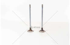 Inlet Valve F3BE0681/3681 - CURSOR 13 - STRALISIN Mec-Diesel