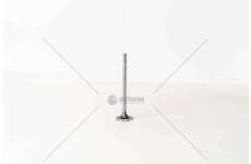 Inlet Valve F4AE0481/F4AE0681 - MAGG.+0,10 IN Mec-Diesel