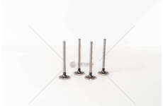 Inlet Valve F8Q - 1.9 D RAPID IN Mec-Diesel