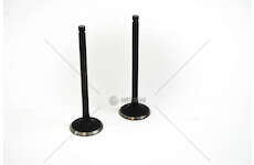 Inlet Valve G4JP-SONATA VI/TRAJET 2.0/2.0 16V Mec-Diesel