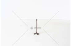 Inlet Valve GOLF-2000TDI-8V-36X7X89.5-45° IN 3GOLE Mec-Diesel