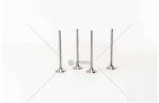 Inlet Valve GOLF/POLO 1.6TDI CAYE/CAYD/CAY C/CAYB IN Mec-Diesel