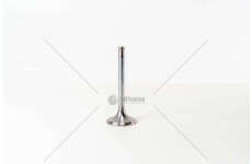 Inlet Valve GOLF/VARIANT/VENTO 1.9 TDI IN Mec-Diesel