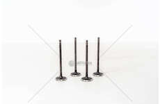 Inlet Valve IGNIS 1.6 16V M16A Mec-Diesel