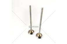 Inlet Valve INLET VALVE (2) VW/AUDI/SEAT/SKODA TRW