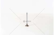 Inlet Valve JUMPER/ULYSSE/BOXER 2.0/2.2HDI 16V L105IN Mec-Diesel
