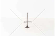 Inlet Valve KANGOO/MEGANE F9Q - 1.9 DTI/TD CI IN Mec-Diesel