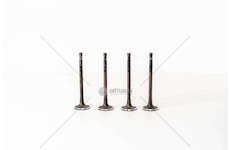 Inlet Valve KIA SORENTO 2.5 CRDI - D4CB Mec-Diesel