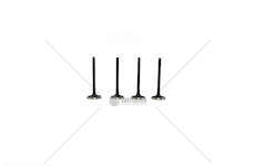 Inlet Valve KING KAB/TERRANO 2.7D/TD-TD27 Mec-Diesel