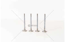 Inlet Valve LAGUNA 2.2 D/TD - G8T - IN Mec-Diesel