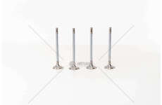 Inlet Valve MAREA/BRAVO/KAPPA 2000 20 V. IN Mec-Diesel