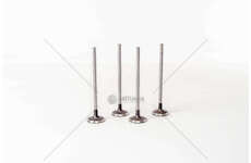 Inlet Valve MASTER/TRAFIC 2.5DCI 16V G9T/ G9U IN Mec-Diesel