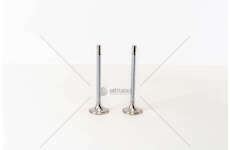 Inlet Valve OM 362/364/366 A/LA TURBO IN Mec-Diesel