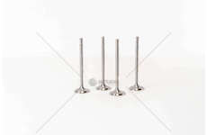 Inlet Valve POLO 1.2 12V/1.4/1.6 16V IN Mec-Diesel