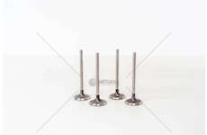 Inlet Valve POLO 1.2I BMD AWY IN. Mec-Diesel