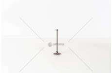 Inlet Valve QUBO/FIORINO 1.4 - 8 V. GAS IN Mec-Diesel