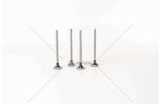 Inlet Valve R9M 408/414 - TALENTO/VIVARO 1.6 D IN Mec-Diesel