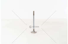 Inlet Valve TD 60/61/63 - F6/FL6 IN Mec-Diesel
