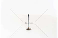 Inlet Valve TIPO/FIORINO 1.4 - SCUDO 1.6 IN Mec-Diesel