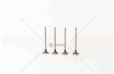 Inlet Valve TRAFIC 2.0I/2.3 DCI 16V M9R/M9T D.84 IN Mec-Diesel