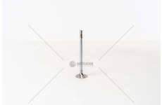 Inlet Valve TRANSIT 2.4 TDDI -DURATORQ ZSD-424 IN Mec-Diesel