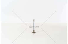 Inlet Valve TRANSPORTER 1.6/1.7D D.34 IN Mec-Diesel