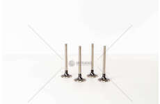 Inlet Valve TRANSPORTER 1.6/2.4 DIAM.36X L.104.9 IN Mec-Diesel