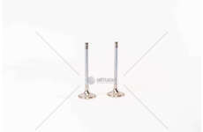 Inlet Valve VM 07/08/80/81/96 - 33/75/90/155 IN Mec-Diesel