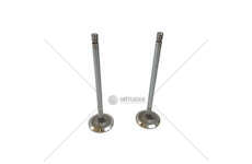 Inlet Valve XE 355 - XF 95/95 XF/85 CF - IN (2) TRW