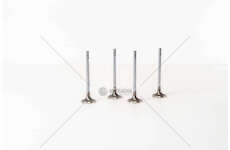 Inlet Valve Z20DM/DMH - ANTARA/CAPTIVA 2.0 IN Mec-Diesel