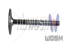 INTAKE VALVE WOSIMAN A-525