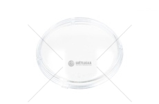 KLOSZ LAMPY PRZECIWMGL. SCANIA R/S/G 2016- L/P TANGDE TD01-52-037S