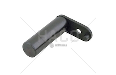 Kolík Trn FI28 délka=100MM HACO HACO 3008008H