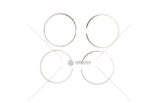 KPL.PIERSCIENI TLOKA RVI  10081