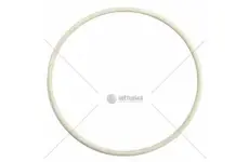 Kroužek 100x3 mvq si | 2054171054