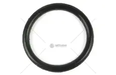 Kroužek 24x20 | 97-4252