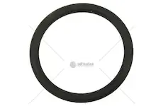 Kroužek 49,2x5,7 fkm 75 | 2731103950
