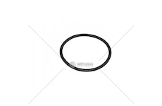 Kroužek 55,56x3,53 938044