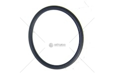 Kroužek akumulátoru intardéru ZF IVECO EURORICA 95534396