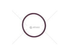 Kroužek chladiče retardéru IVECO ZF 0634100059