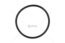 Kroužek DAF DAF 2022929