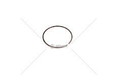 Kroužek INA WR 72 64121902