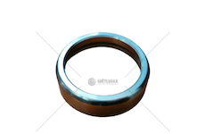 Kroužek opěrný čepu kola Avia 31 361338500