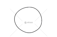 Kroužek převodovky MB 160X3 EURORICA 60531646