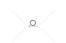 Kroužek převodovky MB 25X3 EURORICA 60531645