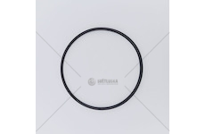 Kroužek těsnící Multicar M30 FUMO E4,5 M31 E5,6