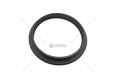 Kroužek těsnící výfuku Avia A60/75 , AD100 CUMMINS