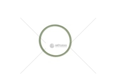 Kroužek uložení vstřiku RVI RVI 7420799006